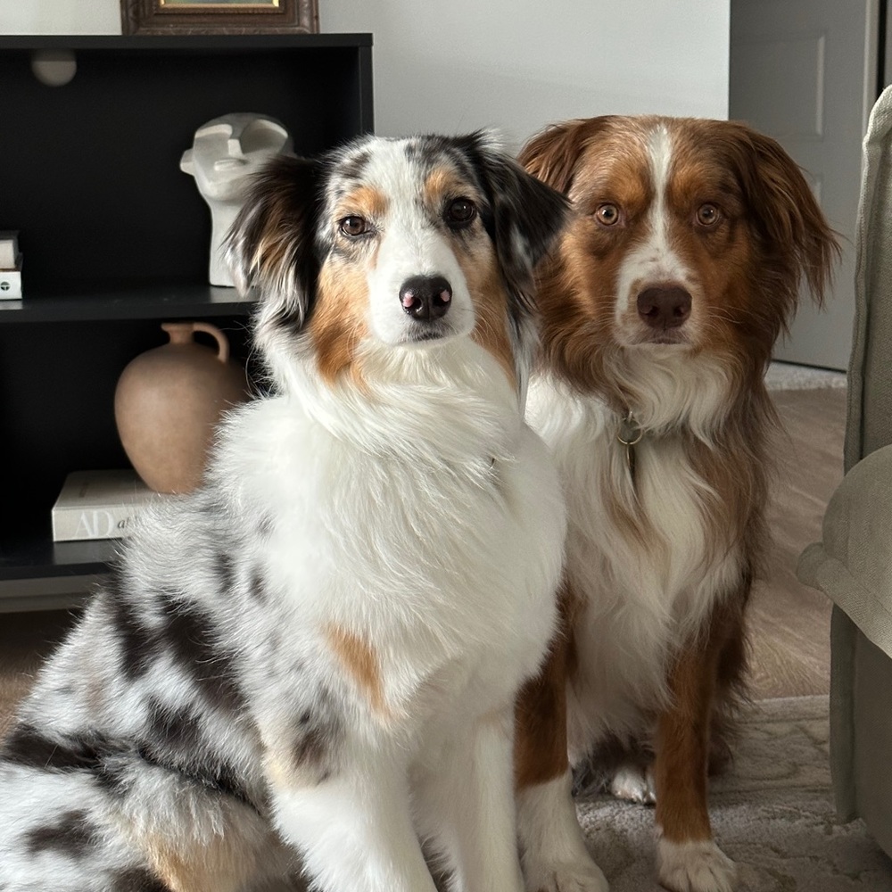 Meet your Posher, Andrew